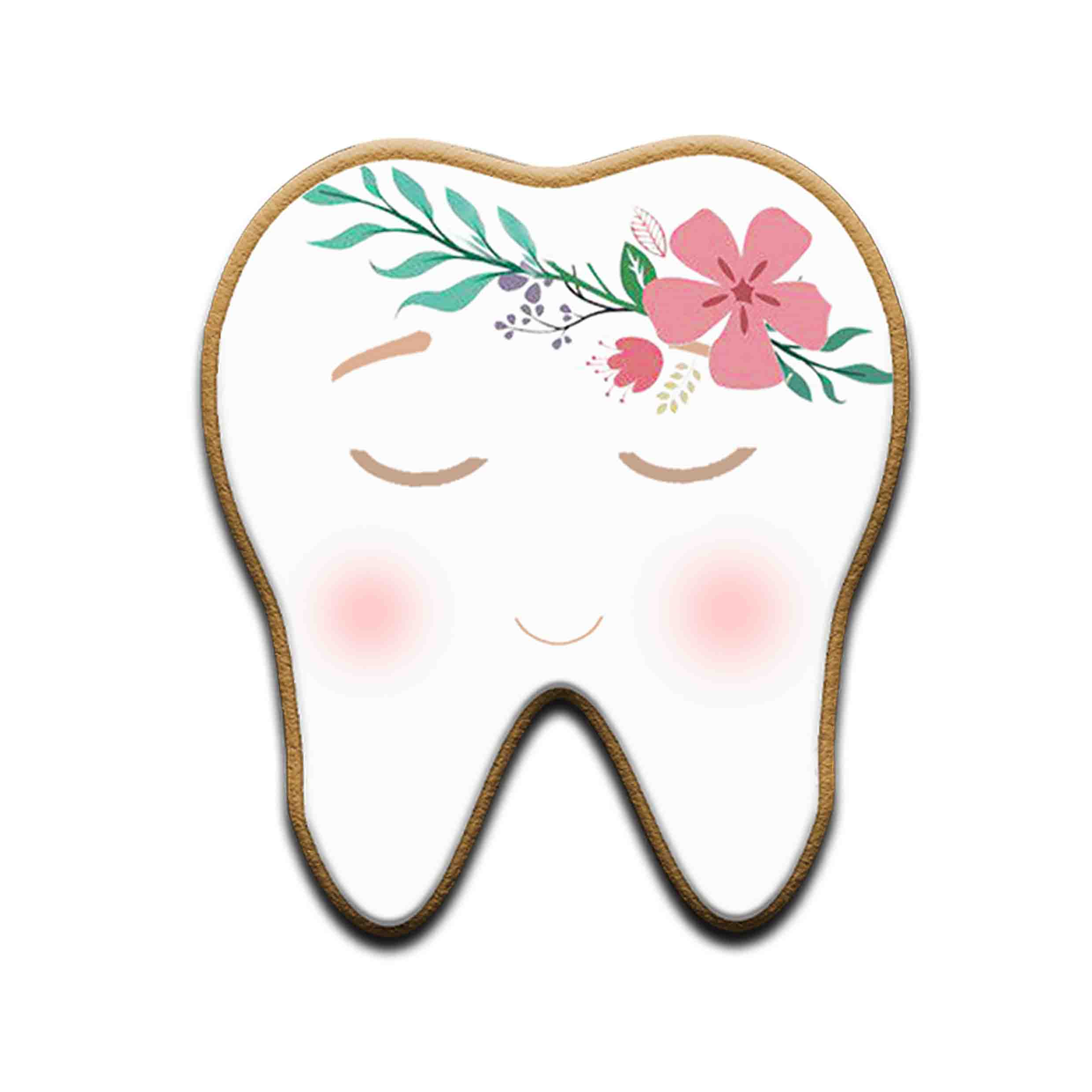     
            Tooth  |  spring
    