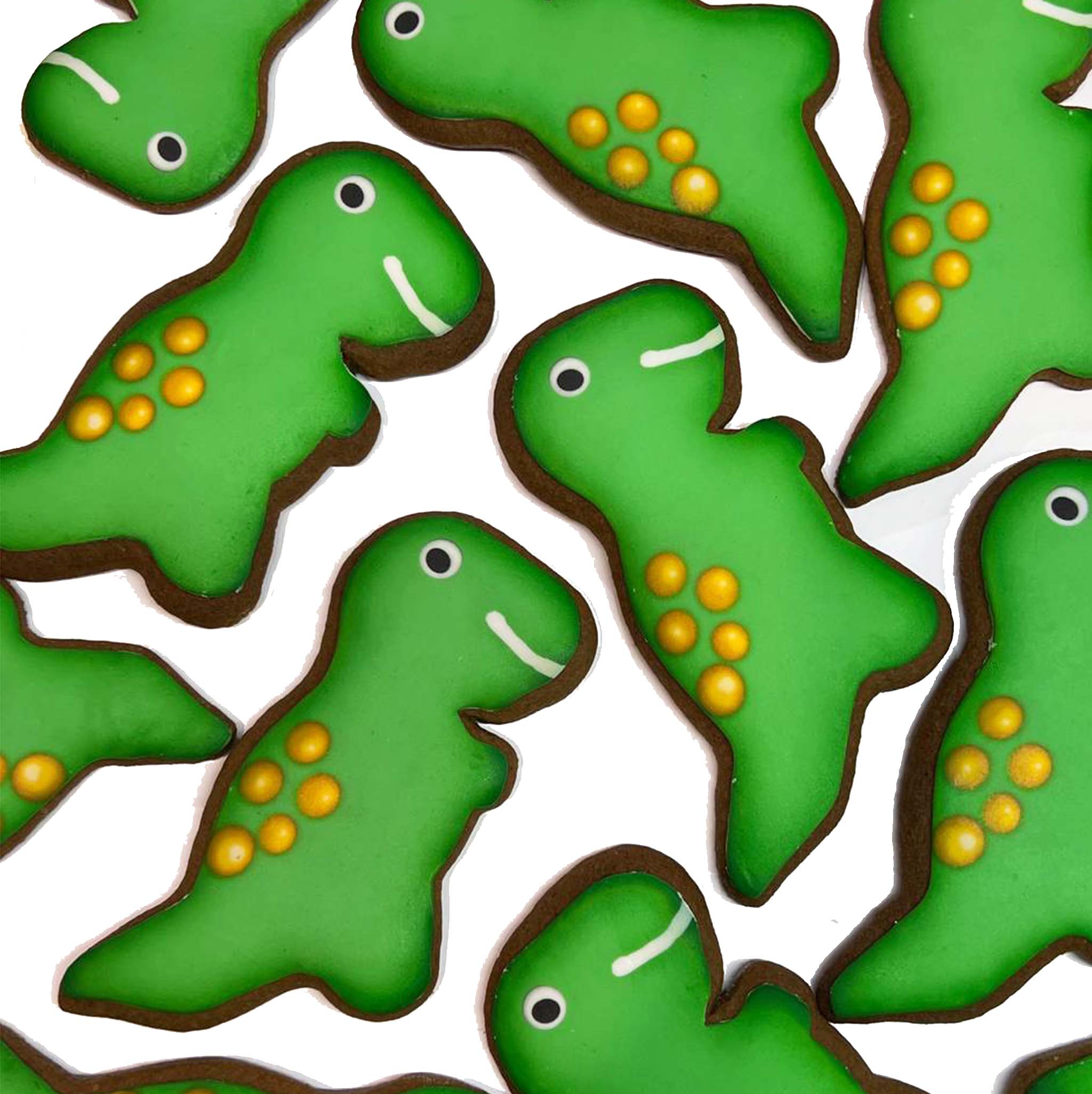     
            Dinosaur
    