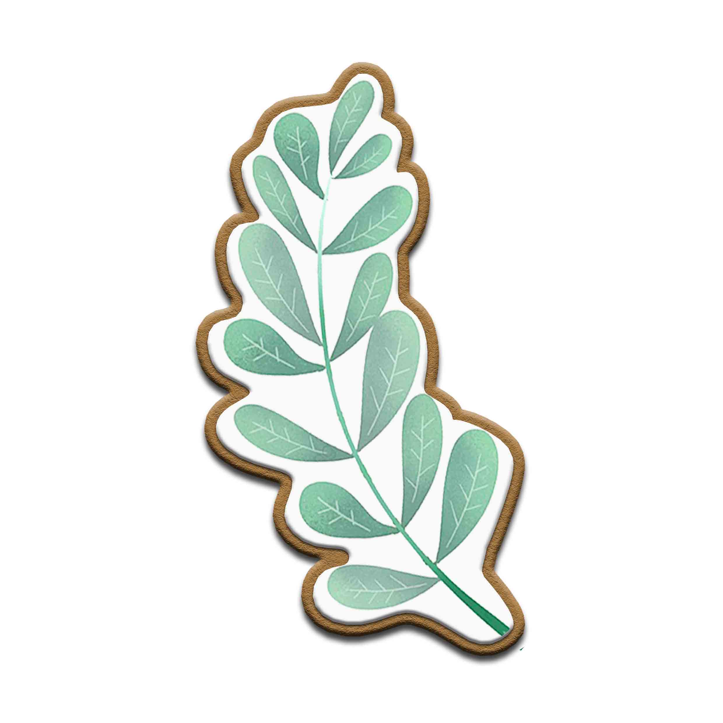     
            A leaf
    